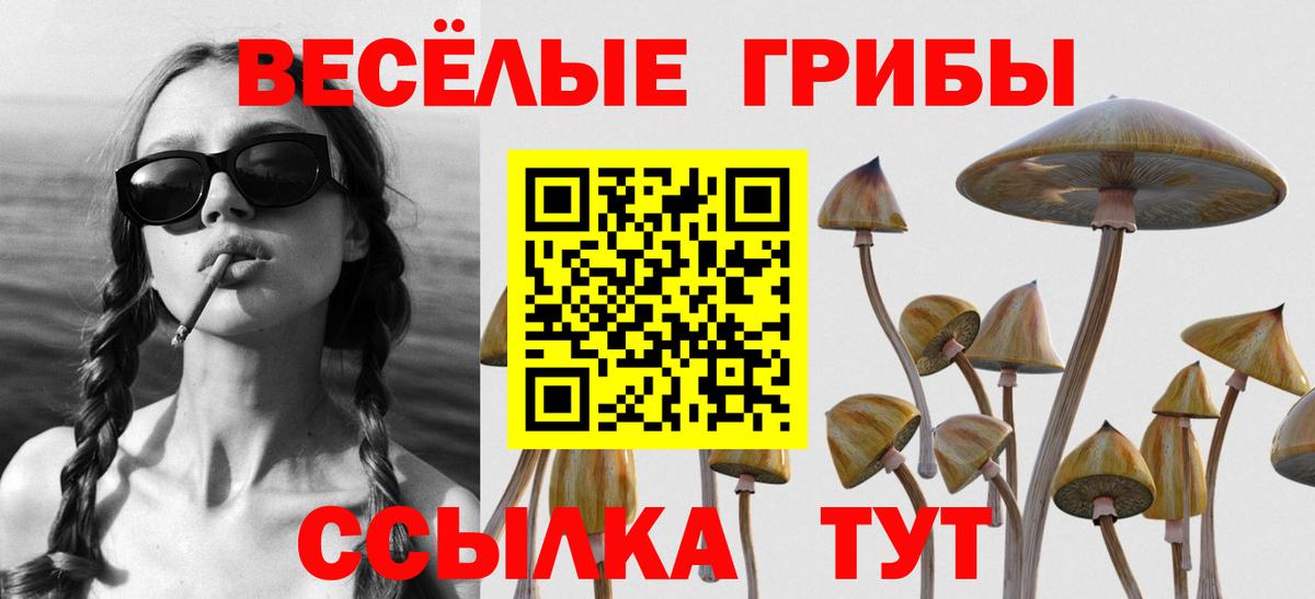 Галлюциногенные грибы MAGIC MUSHROOMS  Галлюциногенные грибы Psilocybe  Костомукша  Вход с VPN 